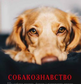 Хобі і дозвілля