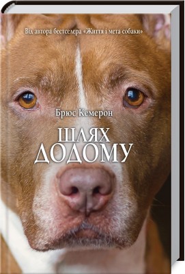 Б/в Шлях додому - середній стан